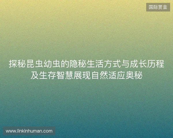 探秘昆虫幼虫的隐秘生活方式与成长历程及生存智慧展现自然适应奥秘
